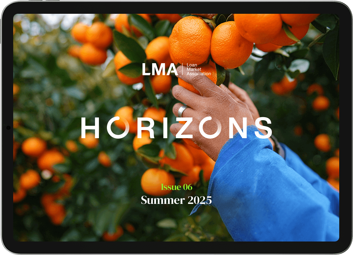 View the Horizon Publication